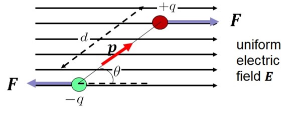 Representation of a dipole placed in an external uniform electric field. &theta; is the angle the dipole takes to the direction of the external electric field and F is the force on each charge of the dipole due to the external field.