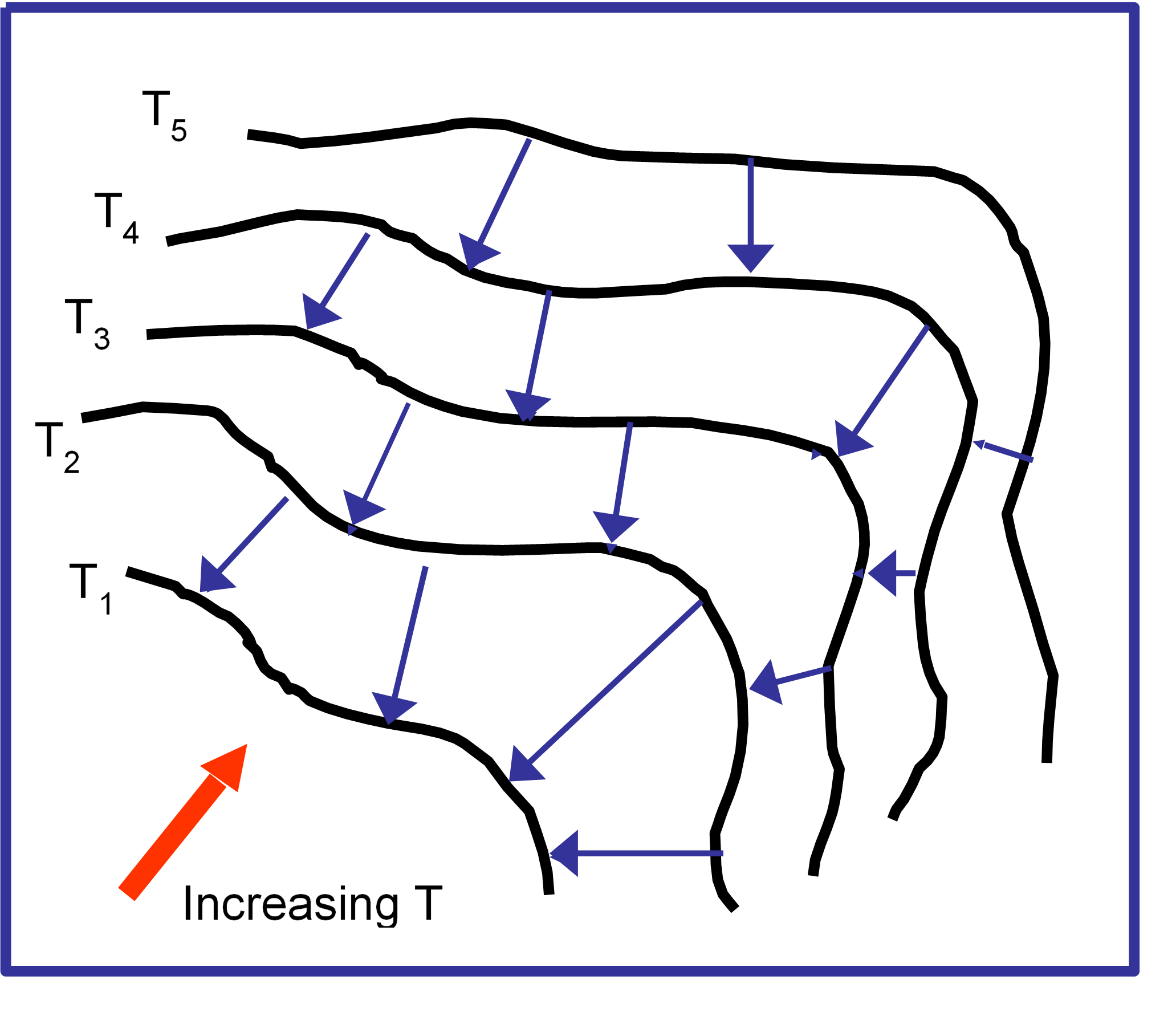 Contours of constant temperature i.e. isotherms. Temperature fields are scalar fields, having one value of temperature at each point in space. Heat flow, however, has an associated vector field, as it has a direction and magnitude for each point in space (blue arrows).